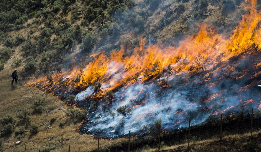 In this July 30, 2018, file photo, firefighters control the Tollgate Canyon fire as it burns near Wanship, Utah. The Trump administration is proposing an ambitious plan to slow Western wildfires by bulldozing, mowing or revegetating large swaths of land along 11,000 miles of terrain in the West. The plan announced this summer would create strips of land known as "fuel breaks" in parts of Idaho, Oregon, Washington, California, Nevada and Utah. (Rick Egan/The Salt Lake Tribune via AP, File)