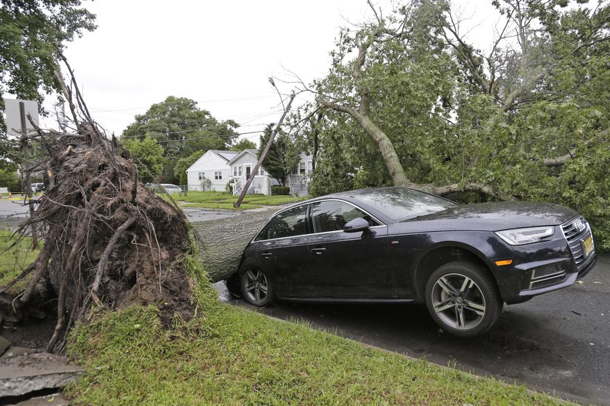 A car is crushed under a large tree in Neptune City, N.J., Tuesday, July 23, 2019. Crews are working to restore electricity for hundreds of thousands of people in New Jersey after powerful storms blew across the state the day before. (AP Photo/Seth Wenig)