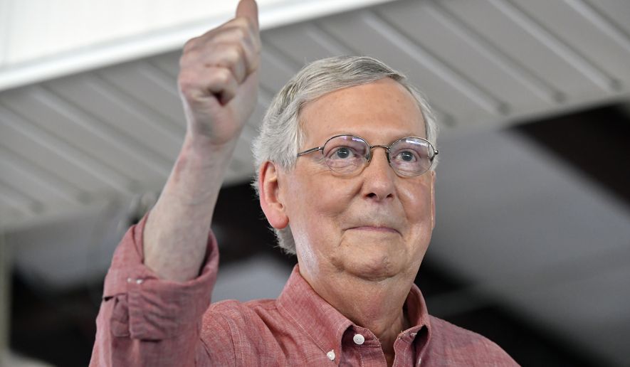 Senate Majority Leader Mitch McConnell, R-Ky., addresses the audience gathered at the Fancy Farm Picnic in Fancy Farm, Ky., Saturday, Aug. 3, 2019. (AP Photo/Timothy D. Easley)