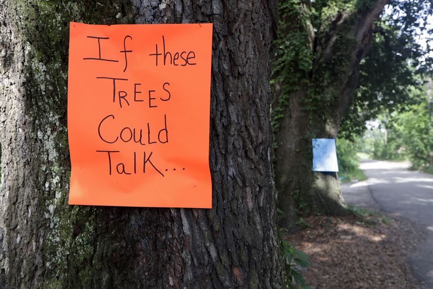 In this June 21, 2019 photo, trees at least a century old in the Boynton Still neighborhood, in Tallahassee, Fla., have signs posted on them as a form of protest from concerned citizens against the trees being cut down for development. A new state tree law is provoking anger, confusion and ridicule among local officials who must enforce it and tree advocates who want to preserve Tallahassee's urban forest and network of canopy roads. (Alicia Devine/Tallahassee Democrat via AP)