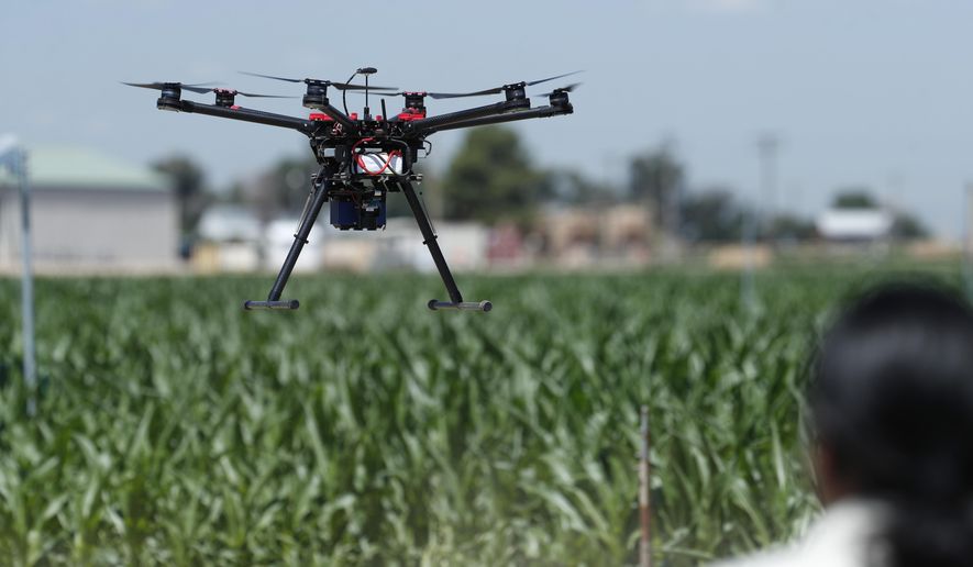 In this Thursday, July 11, 2019, photograph, United States Department of Agriculture engineering technician Kevin Yemoto guides a drone into the air at a research farm northeast of Greeley, Colo. Researchers are using drones carrying imaging cameras over the fields in conjunction with stationary sensors connected to the internet to chart the growth of crops in an effort to integrate new technology into the age-old skill of farming. (AP Photo/David Zalubowski)