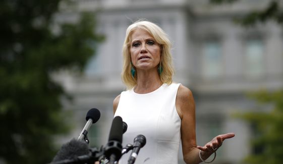 Counselor to the President Kellyanne Conway speaks with reporters outside the White House, Wednesday, Aug. 21, 2019, in Washington. (AP Photo/Patrick Semansky) ** FILE **