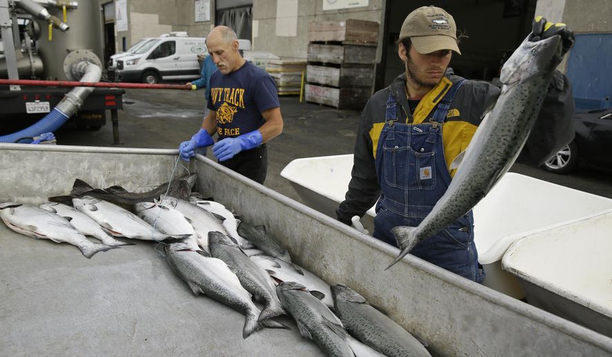 Pacific Ocean regulators decide to close California salmon fishing