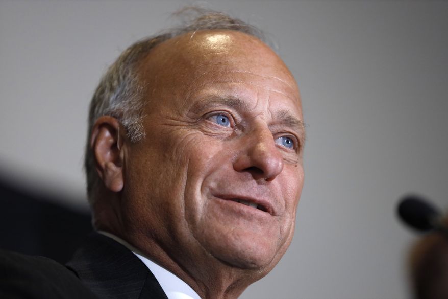 U.S. Rep. Steve King, R-Iowa, speaks during a news conference, Friday, Aug. 23, 2019, in Des Moines, Iowa. (AP Photo/Charlie Neibergall)