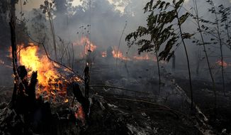 A fire burns trees and brush along the road to Jacunda National Forest, near the city of Porto Velho in the Vila Nova Samuel region which is part of Brazil&#39;s Amazon, Monday, Aug. 26, 2019. The Group of Seven nations on Monday pledged tens of millions of dollars to help Amazon countries fight raging wildfires, even as Brazilian President Jair Bolsonaro accused rich countries of treating the region like a &quot;colony.&quot; (AP Photo/Eraldo Peres)