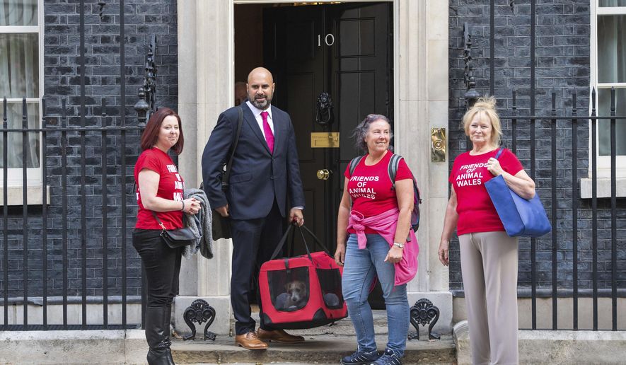Eileen Jones, right, who runs Friends of Animals Wales and colleagues deliver a 15-week-old Jack Russell-cross puppy adopted by Britain's Prime Minister Boris Johnson and his partner Carrie Symonds arrives in Downing Street, London, Monday, Sept. 2, 2019. (Dominic Lipinski/PA via AP)