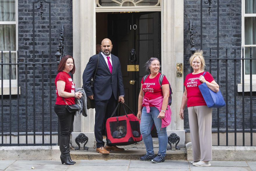 Eileen Jones, right, who runs Friends of Animals Wales and colleagues deliver a 15-week-old Jack Russell-cross puppy adopted by Britain's Prime Minister Boris Johnson and his partner Carrie Symonds arrives in Downing Street, London, Monday, Sept. 2, 2019. (Dominic Lipinski/PA via AP)