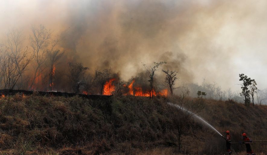 Firefighters work to put out a fire in the Chiquitania forest on the outskirts of Robore, Bolivia, Friday, Aug. 30, 2019. While some of the fires are burning in Bolivia's share of the Amazon, the largest blazes were in the Chiquitania region of southeastern Bolivia. It's zone of dry forest, farmland and open prairies that has seen an expansion of farming and ranching in recent years. (AP Photo/Juan Karita)