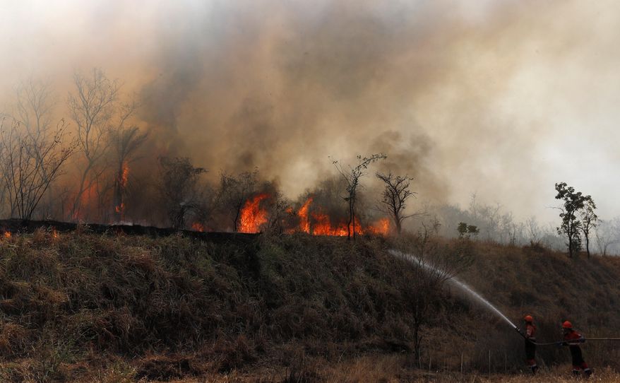 Firefighters work to put out a fire in the Chiquitania forest on the outskirts of Robore, Bolivia, Friday, Aug. 30, 2019. While some of the fires are burning in Bolivia's share of the Amazon, the largest blazes were in the Chiquitania region of southeastern Bolivia. It's zone of dry forest, farmland and open prairies that has seen an expansion of farming and ranching in recent years. (AP Photo/Juan Karita)