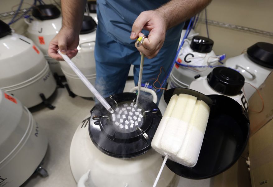 Embryologist Rick Slifkin displays some of the frozen sperm stored at Reproductive Medicine Associates of New York, in New York, Thursday, Oct. 3, 2013. (AP Photo/Richard Drew) ** FILE **