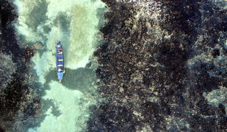 White River Fish Sanctuary wardens patrol through the reef of the sanctuary&#x27;s no-take zone in Ocho Rios, Jamaica, Tuesday, Feb. 12, 2019. After a series of disasters in the 1980s and 1990s, Jamaica lost 85 percent of its once-bountiful coral reefs and its fish population plummeted. But today, the corals and tropical fish are slowly reappearing thanks to some careful interventions. (AP Photo/David Goldman)