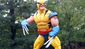 ml-wolvie-01.jpg