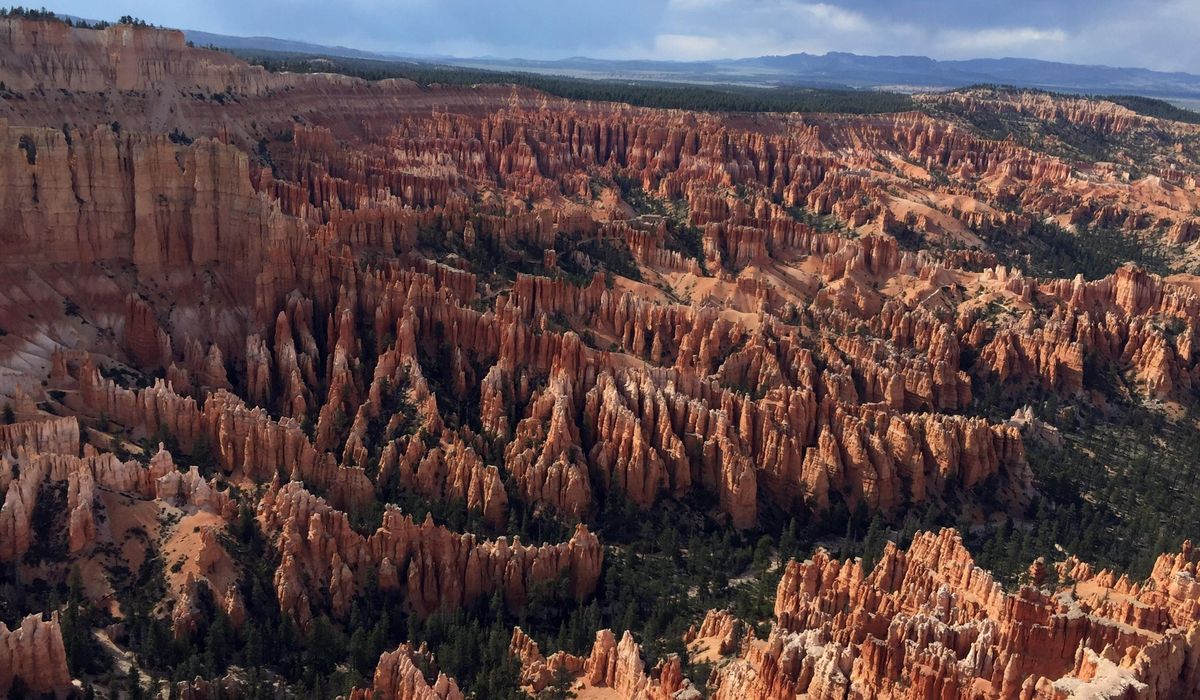 NextImg:Cat survives fall at Bryce Canyon that killed its owners