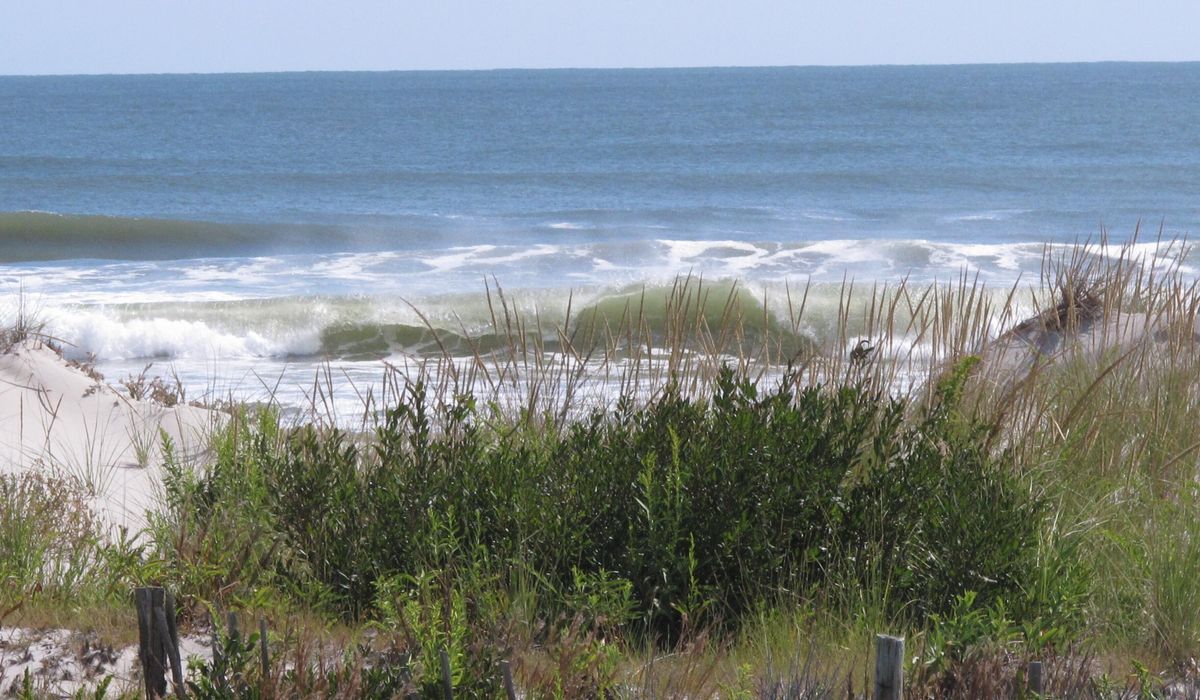 NextImg:Virginia teen dies in beach dune collapse in North Carolina