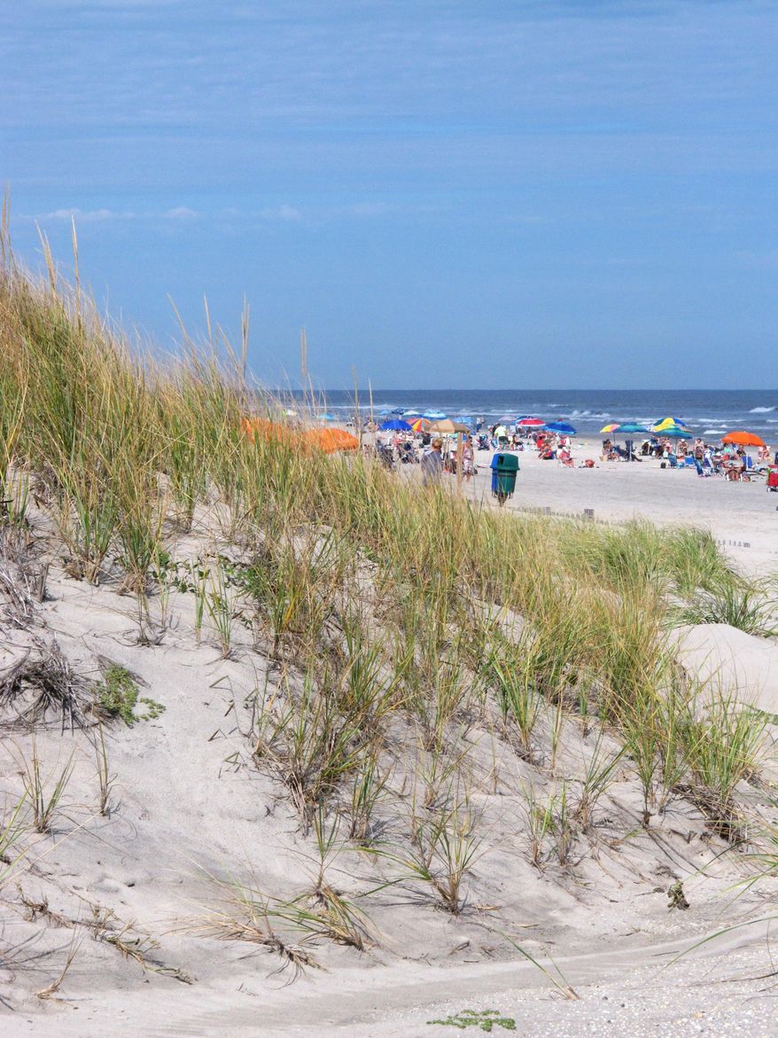 This Sept. 16, 2019 photo shows some of the large sand dunes in Stone Harbor, N.J. State and federal officials are considering a plan to take sand from parts of these dunes, which have grown larger than minimum standards call for, and using it to widen beaches in badly eroded areas because an offshore site where sand used to be pumped ashore is now off-limits. (AP Photo/Wayne Parry)
