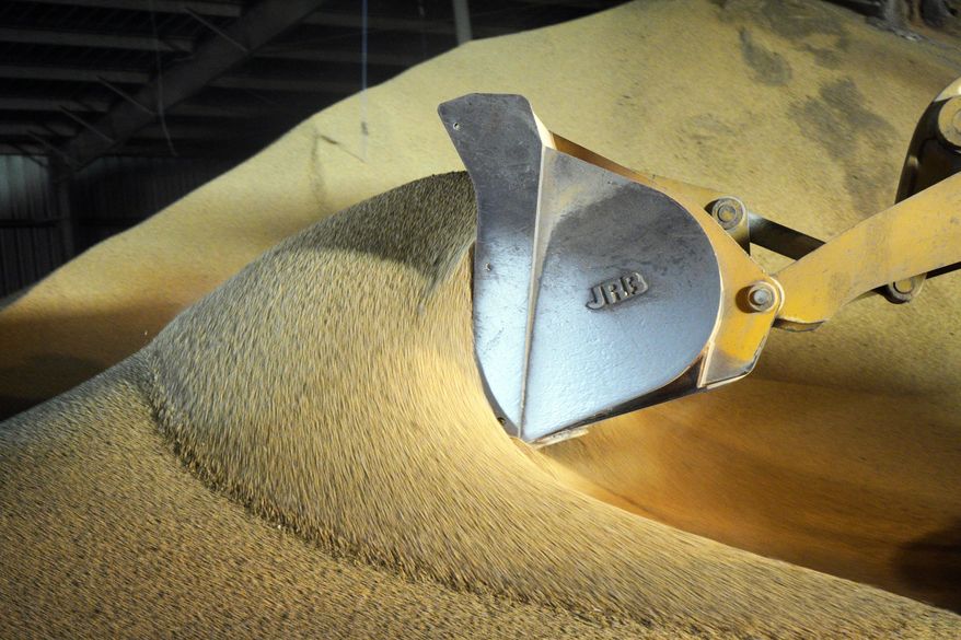 FILE - In this May 13, 2019, file photo, a loader piles soybeans at the Frontier Coop in Schuyler, Neb. China's government says importers have agreed to buy American soybeans and pork. The announcement comes as the two sides make conciliatory gestures ahead of trade talks next month. (AP Photo/Nati Harnik, File)