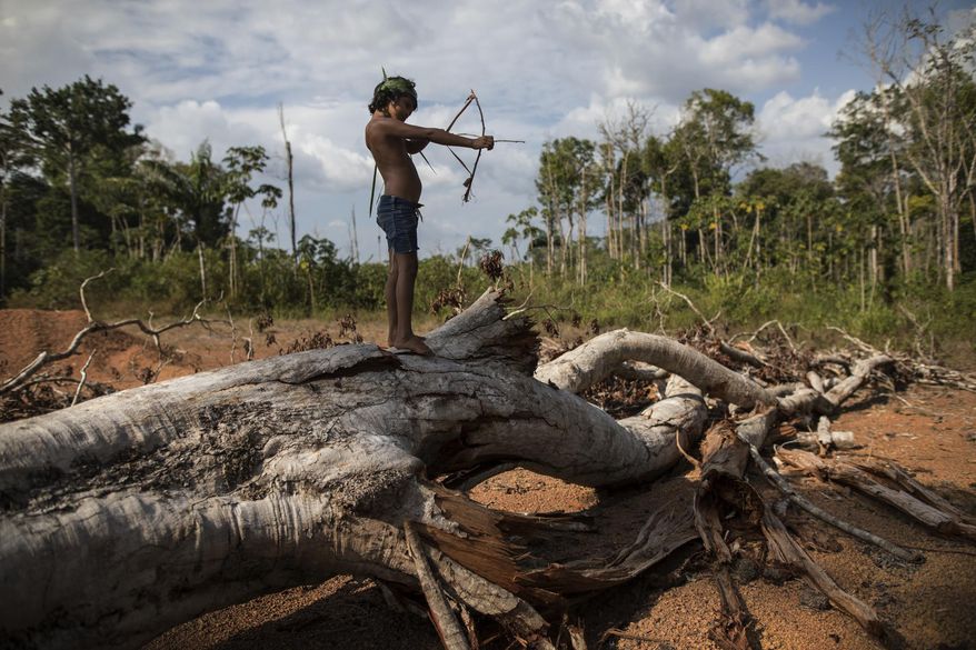 In this Sept. 2, 2019 photo, seven-year-old Emilia Tembe pulls back on her hand-crafted toy bow and arrow made of sticks and leaves as she stands on a fallen tree, in the Ka 'a kyr village, Para state, Brazil. “This part used to be a native forest. This was primary jungle. But the fire arrived and it cleared the land,” said Emidio Tembe, Emilia’s grandfather and the Ka’ a kyr chieftain who named the village. (AP Photo/Rodrigo Abd)