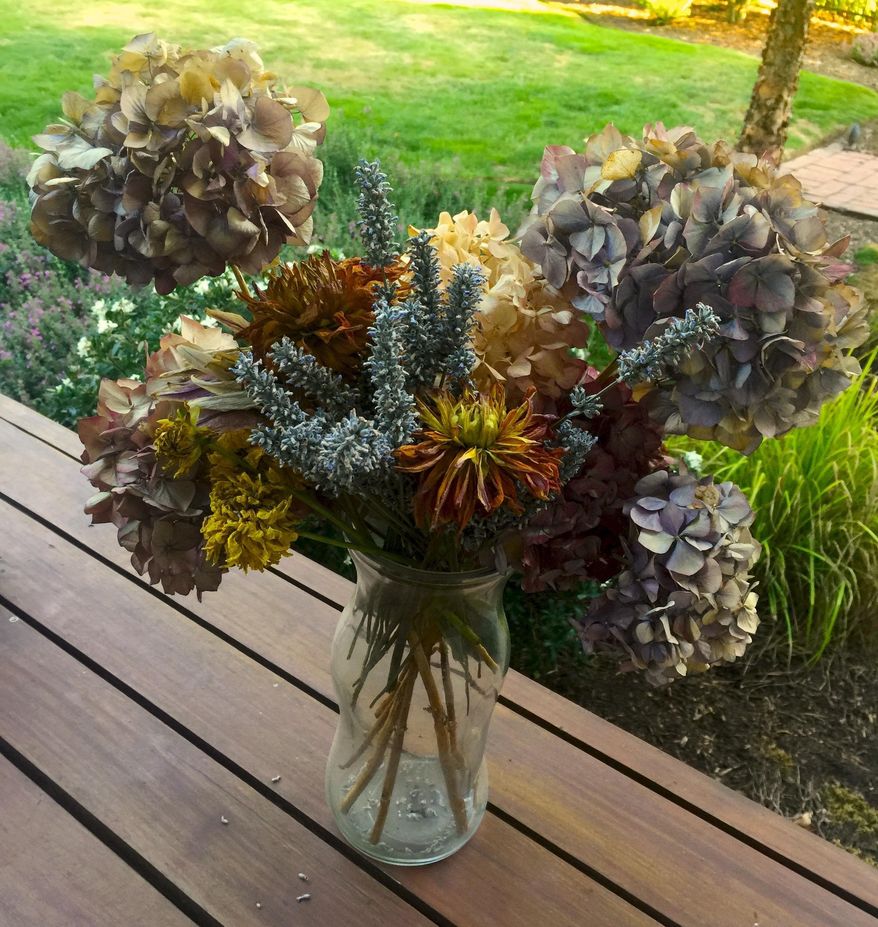 This Aug. 12, 2019 photo shows fresh cut flowers in Langley, Wash. Flowers that are cut for drying should be almost fully bloomed, like these shown here. Many methods are available for flower drying including using drying agents, dehydrators, microwave and standard ovens but most people simply hang them upside down by their stems for a couple of weeks in a dark, dry room. (Dean Fosdick via AP)