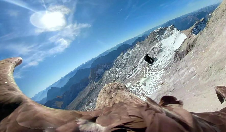 In this image made from video provided by Eagle Wings Foundation/Chopard, aerial footage shot by a camera attached to an eagle of a glacier in Western Europe. A white-tailed eagle is filming as he flies over the Alps and its once-magnificent glaciers, which are now crumbling because of global warming. The eagle named Victor will embark upon a series of flights in the first week on Oct. 2019, filming as he soars over the Alps. Organizers hope that his spectacular eagle’s-view footage will help jolt the world out of its climate-change apathy and toward swifter action to combat its effects. (Eagle Wings Foundation/Chopard via AP)