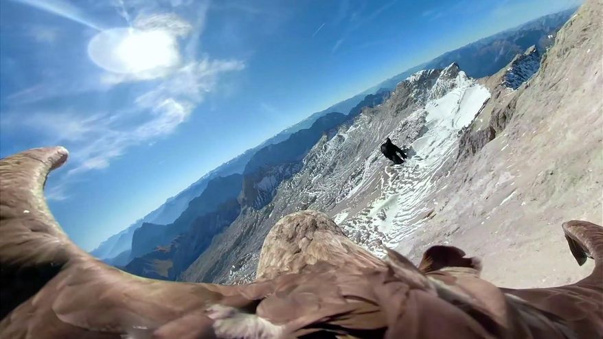 In this image made from video provided by Eagle Wings Foundation/Chopard, aerial footage shot by a camera attached to an eagle of a glacier in Western Europe. A white-tailed eagle is filming as he flies over the Alps and its once-magnificent glaciers, which are now crumbling because of global warming. The eagle named Victor will embark upon a series of flights in the first week on Oct. 2019, filming as he soars over the Alps. Organizers hope that his spectacular eagle’s-view footage will help jolt the world out of its climate-change apathy and toward swifter action to combat its effects. (Eagle Wings Foundation/Chopard via AP)