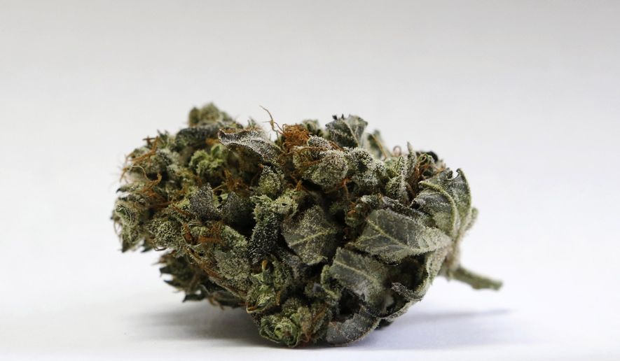 FILE - This April 22, 2016, file photo shows a marijuana bud at a medical marijuana facility in Unity, Maine. Maine marijuana enthusiasts will probably be able to purchase their preferred products in retail stores by March 2020 after years of waiting. Voters approved legal adult use marijuana at the polls in November 2016, and the road to legal sales has been long and bumpy. The state's Office of Marijuana Policy says a key act passed by the Legislature is now in effect, and that means the office is in a position to complete final adoption of Maine's marijuana rules. (AP Photo/Robert F. Bukaty, File)