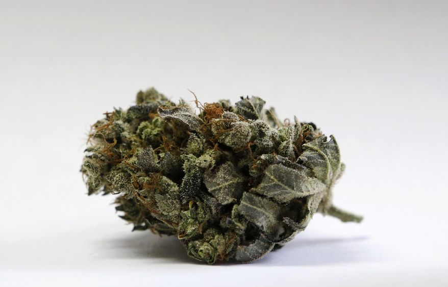 FILE - This April 22, 2016, file photo shows a marijuana bud at a medical marijuana facility in Unity, Maine. Maine marijuana enthusiasts will probably be able to purchase their preferred products in retail stores by March 2020 after years of waiting. Voters approved legal adult use marijuana at the polls in November 2016, and the road to legal sales has been long and bumpy. The state's Office of Marijuana Policy says a key act passed by the Legislature is now in effect, and that means the office is in a position to complete final adoption of Maine's marijuana rules. (AP Photo/Robert F. Bukaty, File)