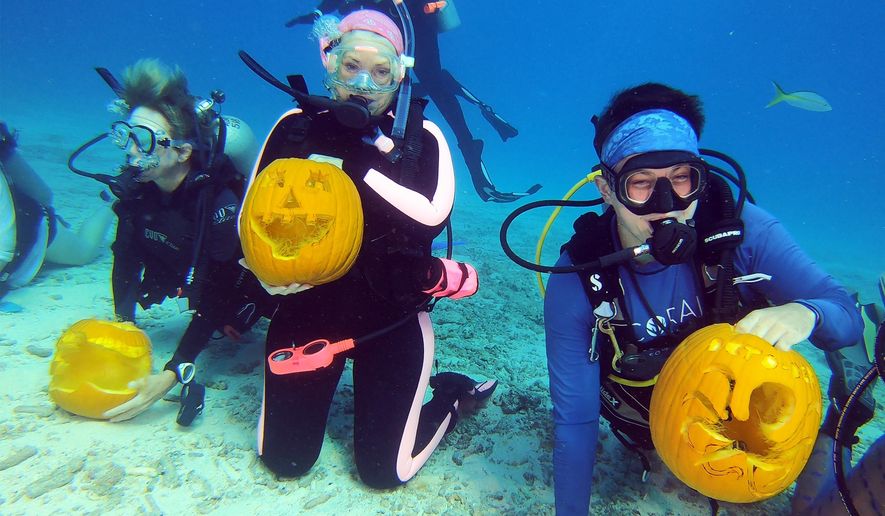 In this Saturday, Oct. 5, 2019, photo provided by the Florida Keys News Bureau, scuba divers display their creations during the Underwater Pumpkin Carving Contest in the Florida Keys National Marine Sanctuary off Key Largo, Fla. Some two dozen divers participated in the competition, coordinated by the Amoray Dive Resort, 30 feet beneath the surface of the Atlantic Ocean. (Frazier Nivens/Florida Keys News Bureau via AP)