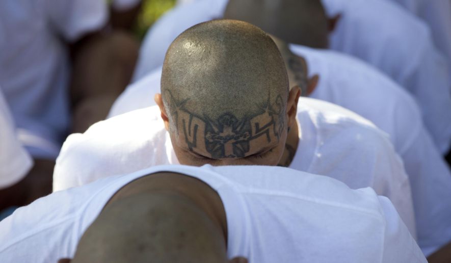 In this Jan. 31, 2019, photo, jailed men identified by authorities as gang members from the Mara Salvatrucha, or MS-13, sit in handcuffs as they are transferred to the Zacatras high-security prison in Zacatecoluca, El Salvador. El Salvador began on Oct. 8, 2019, a mass trial of over 400 alleged gang members, including 17 purported leaders of the feared transnational crime group Mara Salvatrucha. (AP Photo/Moises Castillo) **FILE**