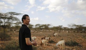 Gerald Erebon looks over livestock at the Archers Post settlement in Kenya on Sunday, June 30, 2019. Erebon has been an outcast all his life: Tall, light-skinned with wavy hair, he looks nothing like the dark-skinned Kenyan man listed as his father on his birth certificate, or his black mother or siblings. He and his family say that’s because his biological father is the Rev. Mario Lacchin, an Italian priest of the Consolata Missionaries order who ministered in Archers Post, Kenya in the 1980s. (AP Photo/Brian Inganga)