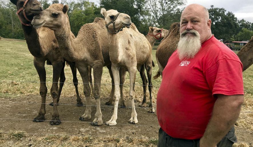 In this Oct. 7, 2019 photo, Scott Allen, who runs Pettit Creek Farms in bone-dry Bartow County, Ga., poses for a photo. Allen says the small streams normally used to provide water for his camels, kangaroos, zebras and other animals have dried up so they are forced to rely on other water sources. Allen says the animals are fine, but the dust is relentless since there's been no significant rain during the past two months. (AP Photo/Jeff Martin) (AP Photo/Jeff Martin)