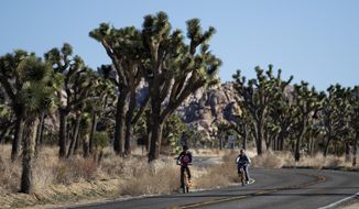 FILE - In this Jan. 10, 2019, file photo, two visitors ride their bikes along the road at Joshua Tree National Park in Southern California&#39;s Mojave Desert. A conservation organization has petitioned for protection of the western Joshua tree under the California Endangered Species Act due to the effects of climate change and habitat destruction. The Center for Biological Diversity filed the petition with the state Fish and Game Commission on Tuesday, Oct. 15. (AP Photo/Jae C. Hong, File)