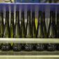 Empty wine bottles sit on a production line in the southern France region of Provence, Friday Oct. 11, 2019. European producers of premium specialty agricultural products like French wine, are facing a U.S. tariff hike on Friday, with dollars 7.5 billion duties on a range of European goods approved by the World Trade Organization for illegal EU subsidies to aviation giant Airbus.(AP Photo/Daniel Cole)