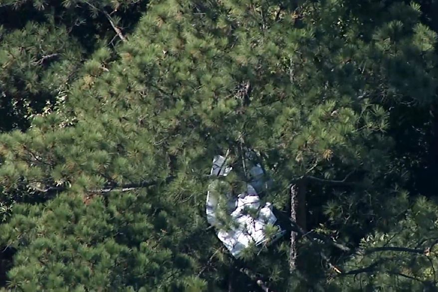 This Monday, Oct. 21, 2019 image made from video provided by WTVD-TV shows the wreckage of a small plane in a treeline near the Raleigh-Durham International Airport in North Carolina. At least a few people were killed when the small plane crashed near the airport, prompting an intensive overnight search of a nearby state park and temporarily halting arrivals and departures of commercial flights, authorities said Monday. (WTVD-TV via AP)