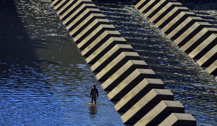 An angler walks in Harlan County Lake and recreation area Sunday, Oct 13, 2019, in rural Harlan County, Neb. (Joe Dejka/The World-Herald via AP)