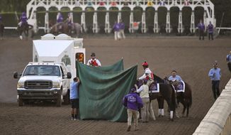 Track workers treat Mongolian Groom after the Breeders&#39; Cup Classic horse race at Santa Anita Park, Saturday, Nov. 2, 2019, in Arcadia, Calif. The jockey eased him up near the eighth pole in the stretch. The on-call vet says he has &amp;quot;serious&amp;quot; injury to leg. Was taken to equine hospital on the grounds. (AP Photo/Mark J. Terrill)