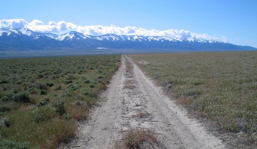 This 2005 photo provided by Bethany Bradley shows cheatgrass, at right, invading shrubs, left, near Lovelock, Nev. A new study finds that for much of the United States, invasive grass species, such as cheatgrass, are making wildfires more frequent, especially in fire-prone California. (Bethany Bradley/University of Massachusetts via AP)