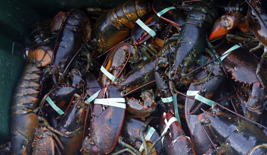 FILE -In this Saturday, Aug. 24, 2019 file photo, a crate of lobsters is seen at Cape Porpoise, in Kennebunkport, Maine. A drop in the catch of lobsters off Maine has customers paying more for the seafood and fishermen concerned about the future. (AP Photo/Robert F. Bukaty, File)