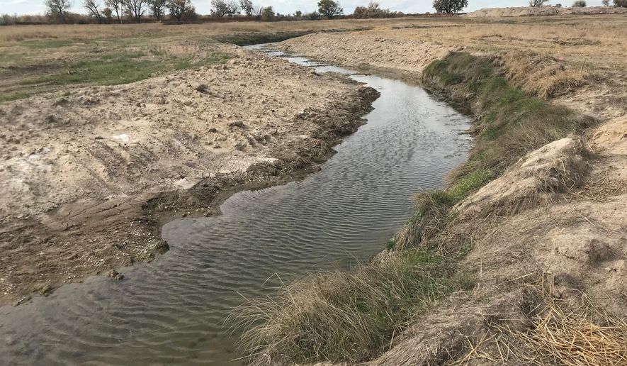 A new stream runs on Friday, Oct 18, 2019, near Mitchell, Neb. The first-of-its kind project could revive trout fishing in the area that disappeared decades ago. (Paul Hammel/The World-Herald via AP)