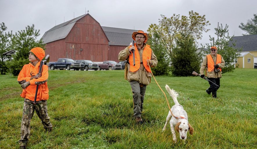 Nicholas, Brian, Gus, and Brian's dad, Gary, make their way towards the field while hunting at The Pheasant Farm in Grand Rapids on Sunday, Nov. 5, 2017. Hunting wildlife has long been ingrained in Michigan's culture, but it is currently on a decline across the state. (Nic Antaya/The Grand Rapids Press via AP)
