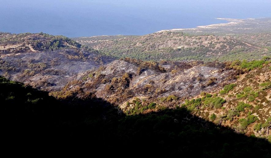 This Wednesday, Nov. 13, 2019 photo provided by the Cyprus Forest Department, shows the results of forest fire, in Akamas Peninsula. Cyprus’ president is vowing to go ahead with creating a national park in a largely untouched area of the tourism-reliant island, following a string of deliberately-set forest fires that were blamed on local landowners’ development plans. (Cyprus Forest Department via AP)