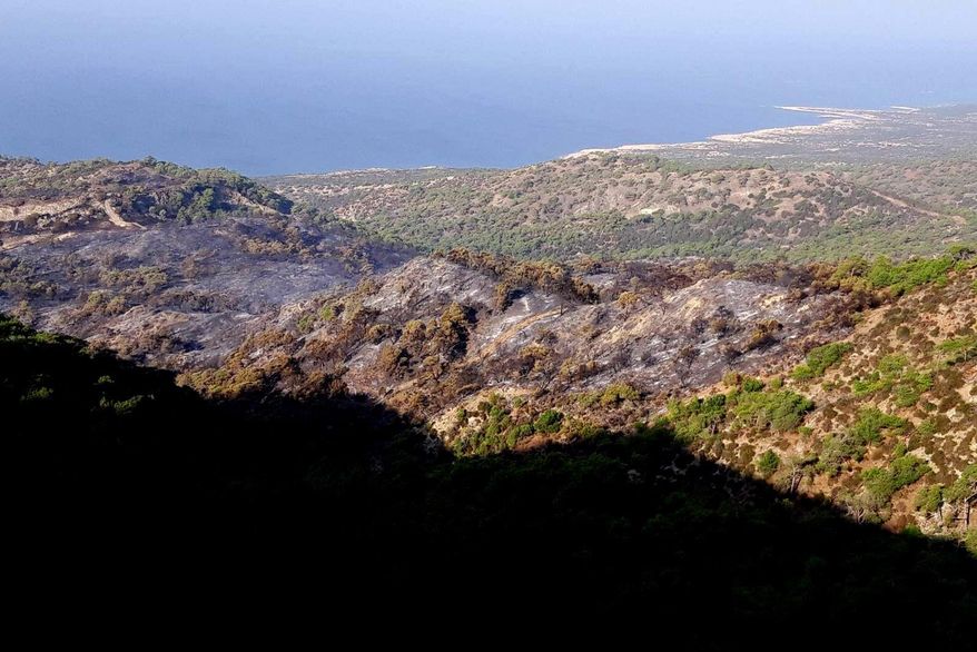 This Wednesday, Nov. 13, 2019 photo provided by the Cyprus Forest Department, shows the results of forest fire, in Akamas Peninsula. Cyprus’ president is vowing to go ahead with creating a national park in a largely untouched area of the tourism-reliant island, following a string of deliberately-set forest fires that were blamed on local landowners’ development plans. (Cyprus Forest Department via AP)