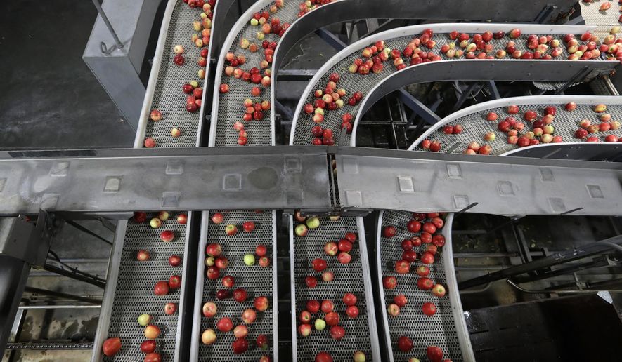FILE - In this Oct. 15, 2019, file photo gala apples are moved along a conveyor system after being sorted as they move to be prepared for shipping in a packing house in Yakima, Wash. On Thursday, Nov. 14, the Labor Department reports on U.S. producer price inflation in October. (AP Photo/Elaine Thompson, File)