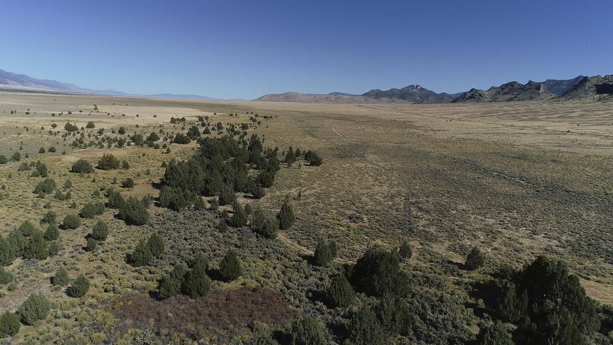 In this unidentified photo shows the Swamp Cedar Natural Area. a sacred tribal site known as the swamp cedars, considered sacred by a number of Shoshone tribes in Ely, northeast Nevada. A fight over water and rare trees is pitting descendants of 19th century massacres against a plan to pump and pipe water to Las Vegas. The trees have been a ceremonial site since time immemorial. They also represent a living connection to native people killed in a series of massacres in the region. For the Ely and Duckwater Shoshone in Nevada and Goshute in Utah, the site is a living memorial to hundreds of slain ancestors. But National Park Service recognition of the Spring Valley site in 2017 as a Traditional Cultural Property doesn't stop a pipeline, and a legal battle continues. (Benjamin Spillman/Reno Gazette Journal via AP)