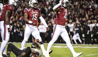 South Carolina linebacker Sherrod Greene (44) celebrates a tackle with Aaron Sterling (15) during the first half of an NCAA college football game  against Vanderbilt, Saturday, Nov. 2, 2019, in Columbia, S.C. (AP Photo/Sean Rayford)