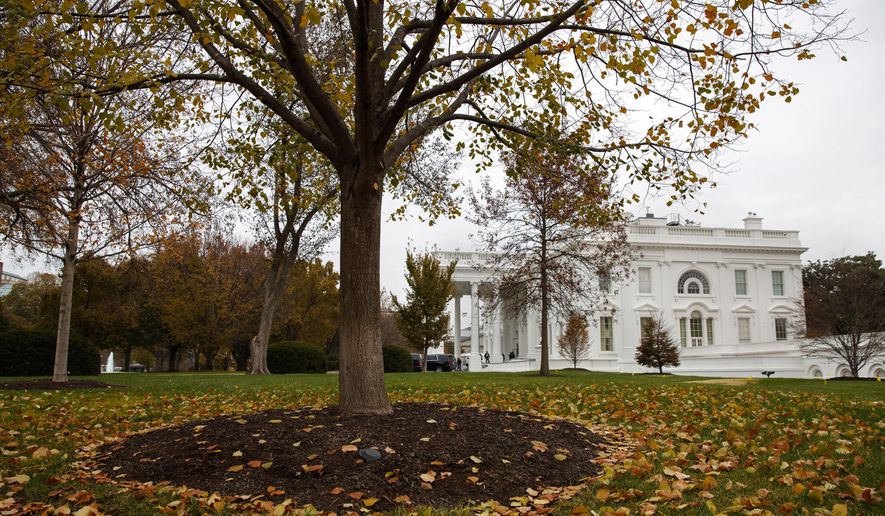 Fall foliage covers the North Lawn of the White House, Wednesday, Nov. 20, 2019, in Washington. (AP Photo/Jacquelyn Martin)