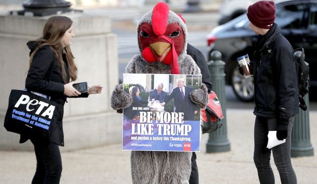 Activists walk with a person wearing a turkey costume outside Longworth House Office Building on Capitol Hill in Washington, Thursday, Nov. 21, 2019. The PETA activists are asking people to &quot;Be More Like Trump&quot; referring to President Donald Trump&#x27;s pardoning the Thanksgiving turkey. (AP Photo/Julio Cortez)