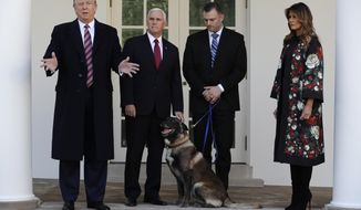 President Donald Trump, Vice President Mike Pence and first lady Melania Trump, present Conan, the military working dog injured in the successful operation targeting Islamic State leader Abu Bakr al-Baghdadi, before the media in the Rose Garden at the White House, Monday, Nov. 25, 2019 in Washington. (AP Photo/Evan Vucci)