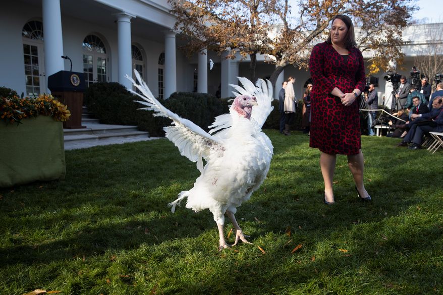 Butter, the national Thanksgiving turkey, was pardoned by President Trump on Tuesday. During the traditional annual ceremony, Mr. Trump took a few jabs at House Democrats. (Associated Press)