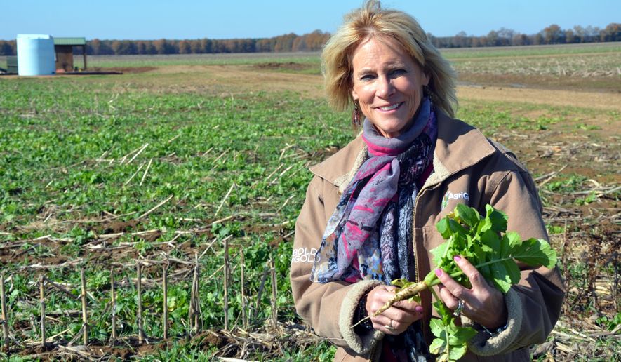 Annie Dee holds a turnip she uses as a cover crop at the Dee River Ranch in Aliceville, Ala. on Nov. 25, 2019. Dee, who runs the Dee River Ranch in Pickens County, is one of a growing number of farmers who are signed up to get paid to sequester carbon in the soil using what are being called regenerative farm techniques.(Dennis Pillion/Press-Register via AP)