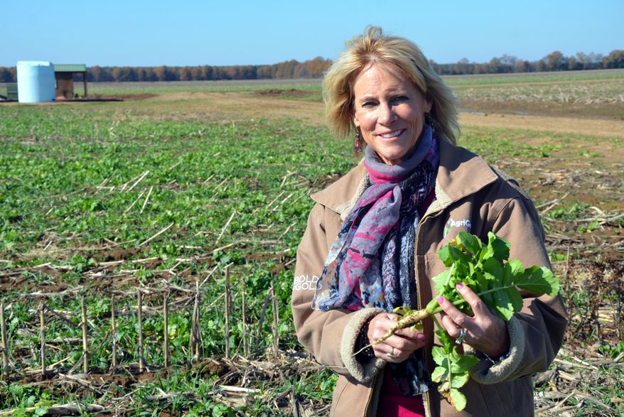 Annie Dee holds a turnip she uses as a cover crop at the Dee River Ranch in Aliceville, Ala. on Nov. 25, 2019. Dee, who runs the Dee River Ranch in Pickens County, is one of a growing number of farmers who are signed up to get paid to sequester carbon in the soil using what are being called regenerative farm techniques.(Dennis Pillion/Press-Register via AP)